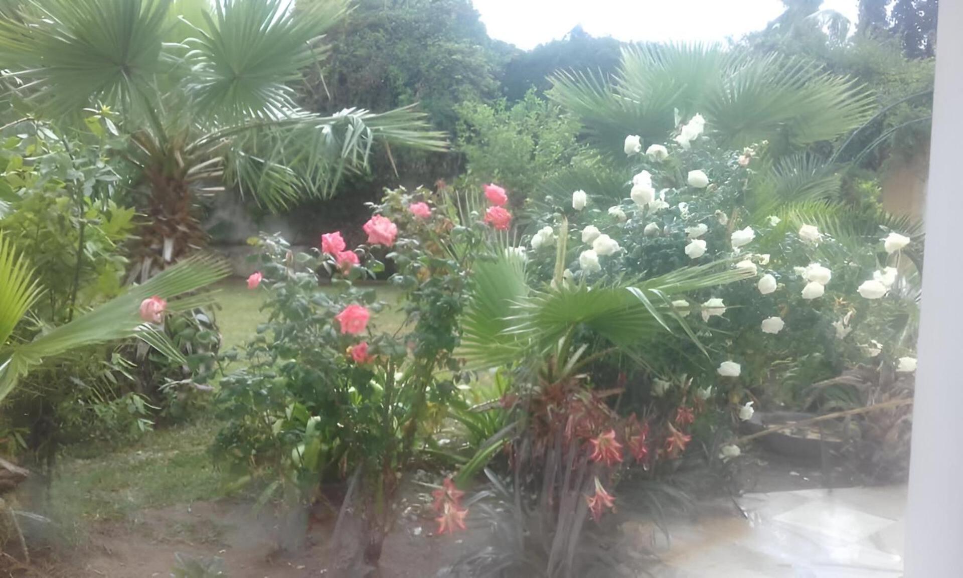 فيلا Au Bout Du Jardin قرطاج المظهر الخارجي الصورة